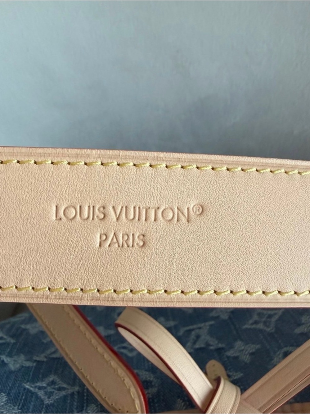 Louis Vuitton Carryall cargo PM denim - Picture 12 of 13